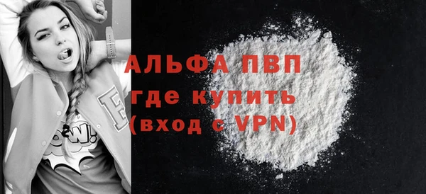 индика Грязи