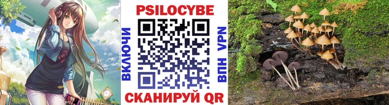 Купить  Зеленогорск  Псилоцибиновые грибы прущие грибы 